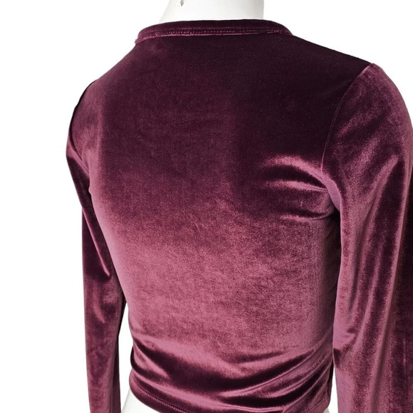 Aritzia Wilfred Free Velvet Long Sleeve Crop Top Size Small - Picture 4 of 7